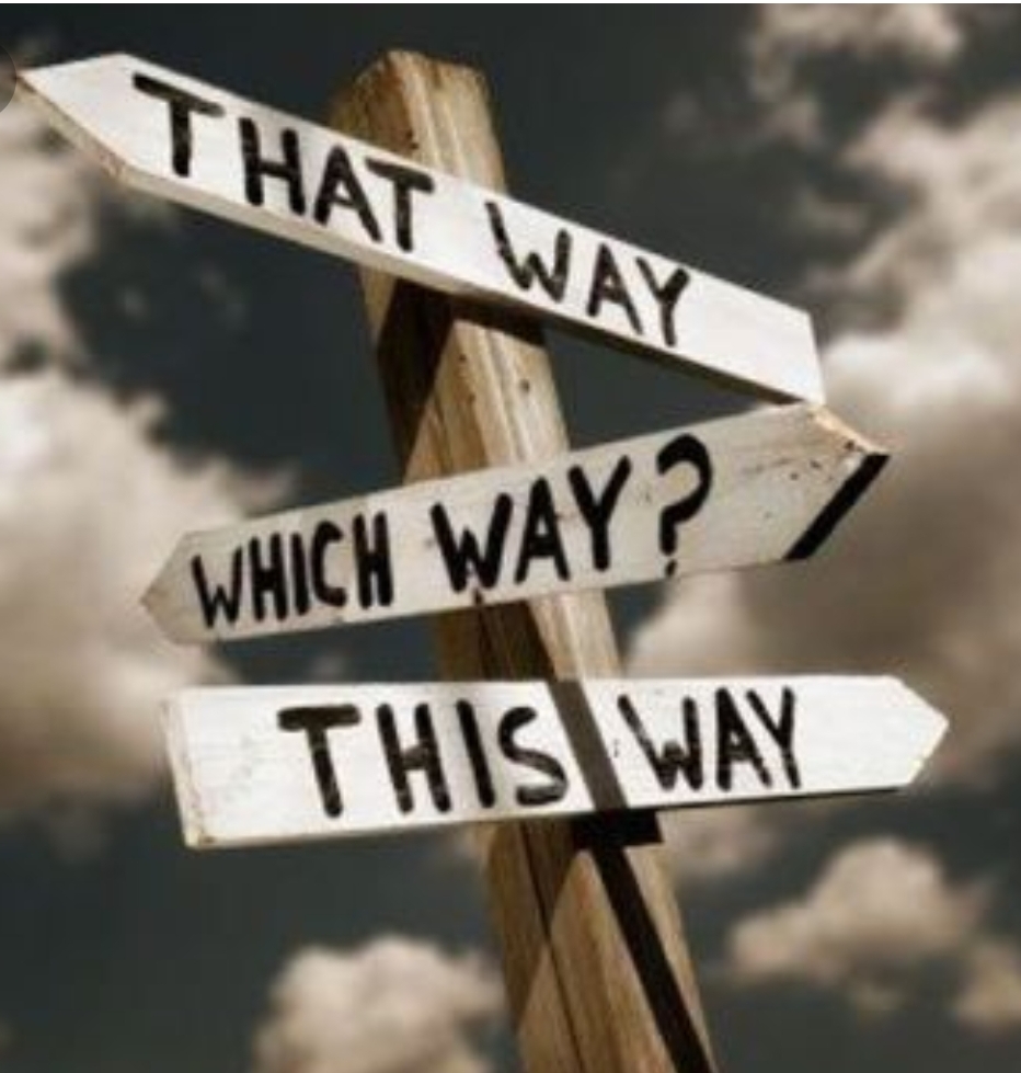 DECISIONS, DECISIONS, DECISIONS