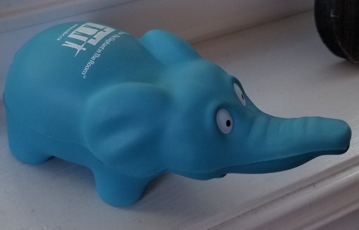 The Elephant In My&nbsp;Room