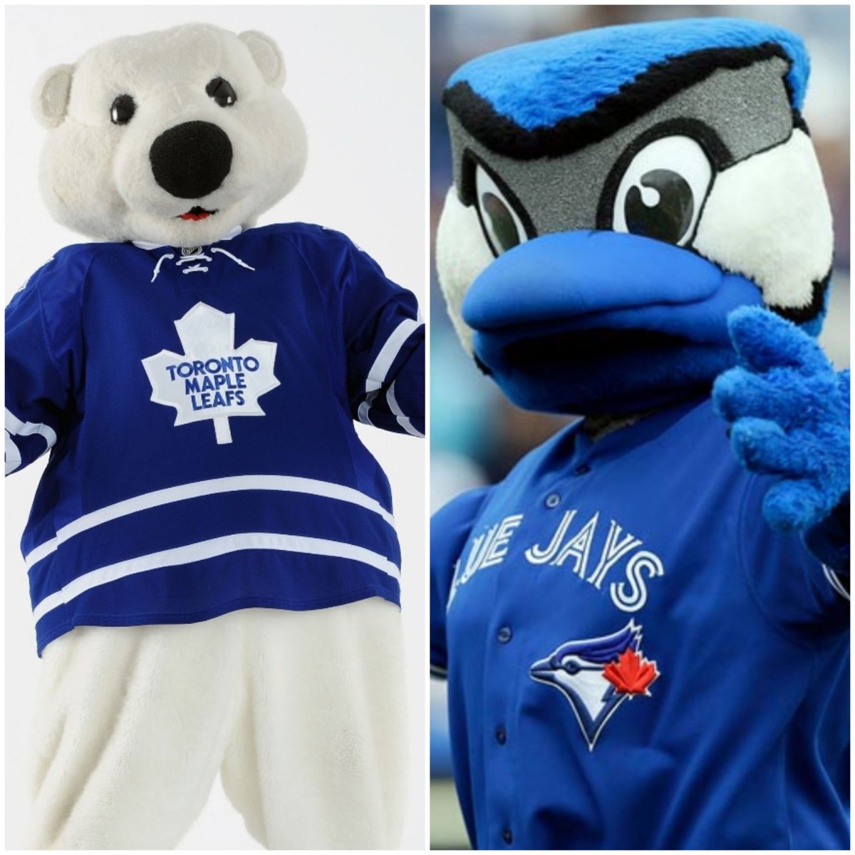 I Must Be A Real Sports&nbsp;Fan!