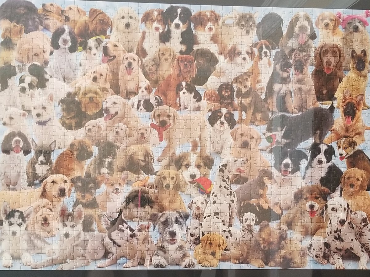 One Puzzle Piece At A&nbsp;Time