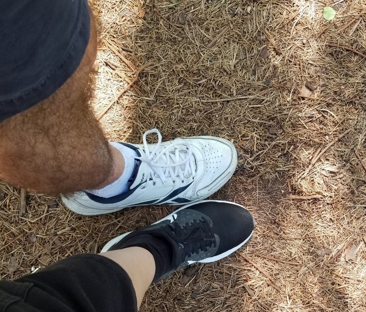 A Hiking We Will&nbsp;Go